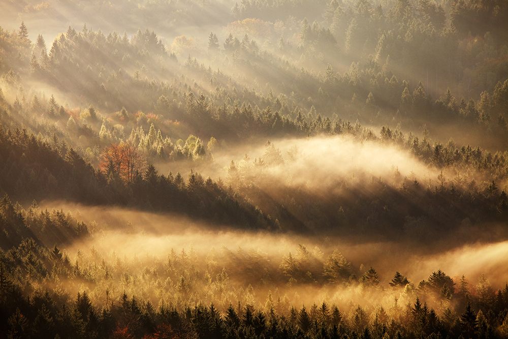 Autumn Rays art print by Martin Rak for $57.95 CAD