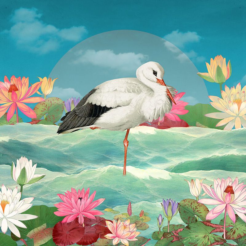 White Stork Water Lilies art print by Marja van den Hurk for $57.95 CAD