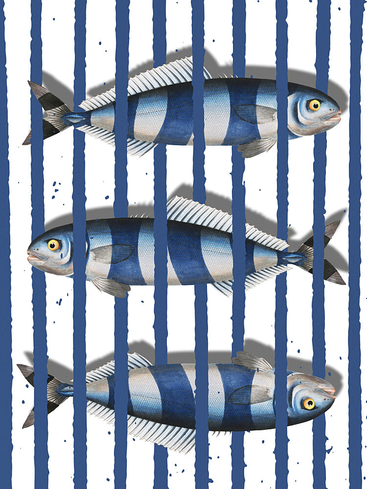 Blue Striped Fish art print by Marja van den Hurk for $57.95 CAD
