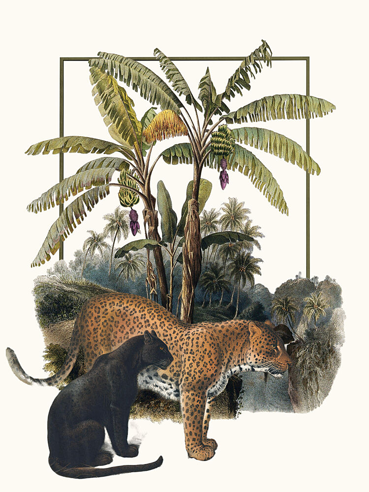 Panther and Jaguar Jungle art print by Marja van den Hurk for $57.95 CAD