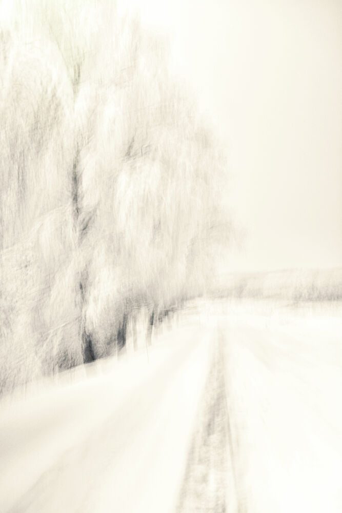 Dreamy Winter Path art print by Christina Sillen for $57.95 CAD