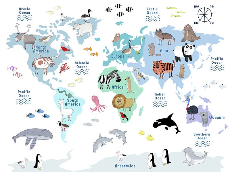 Kids World Animal Map art print by Carla Daly for $57.95 CAD