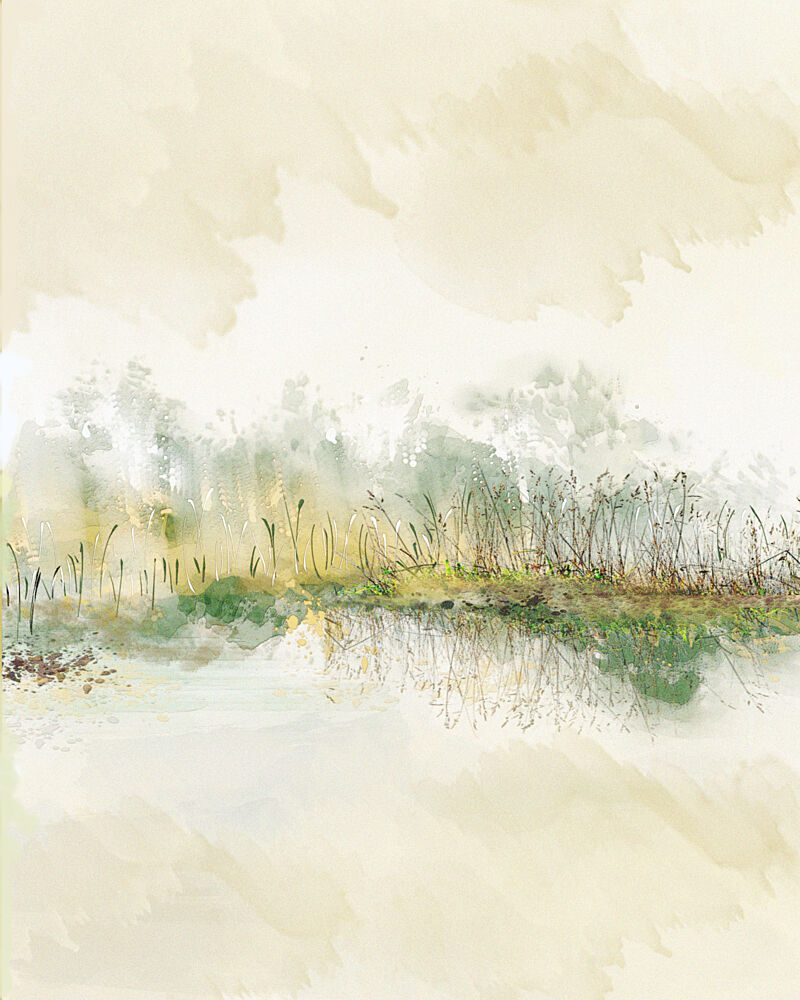 Misty Reeds Reflection art print by Sannel Larson for $57.95 CAD
