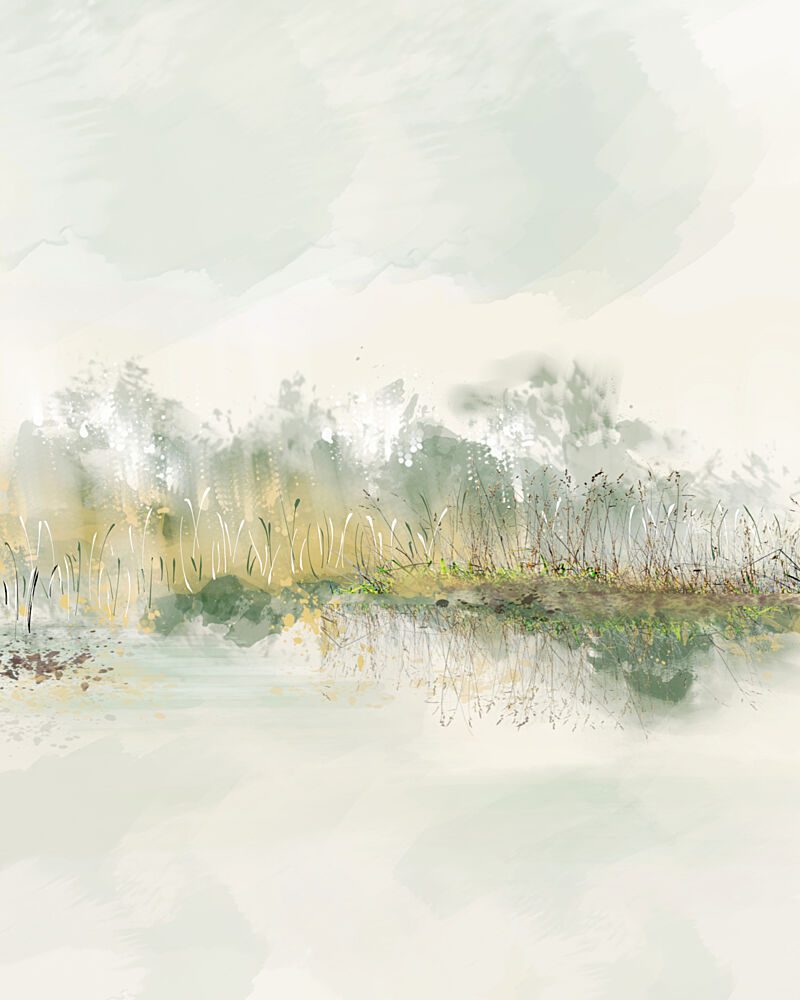 Misty Wetland Reeds art print by Sannel Larson for $57.95 CAD
