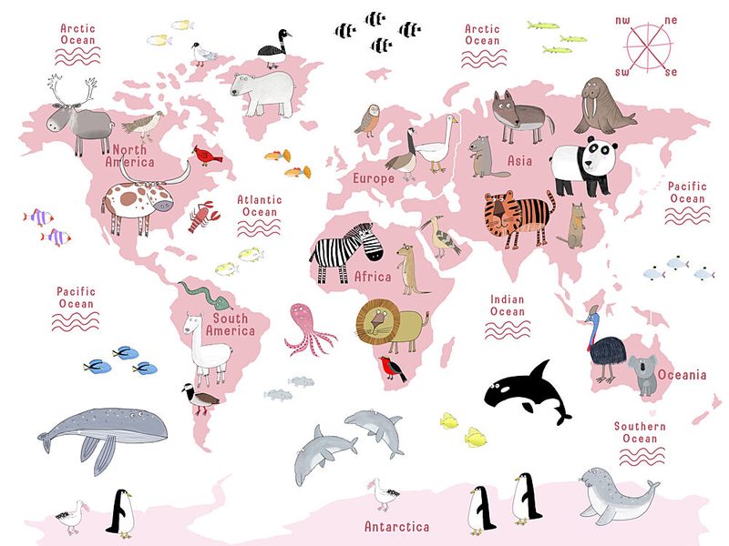 Animals of the World Map art print by Carla Daly for $57.95 CAD