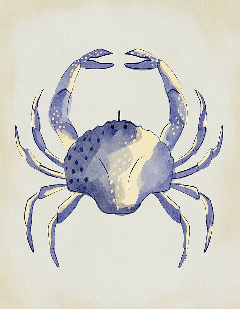 Watercolor Blue Crab art print by Nikita Jariwala for $57.95 CAD