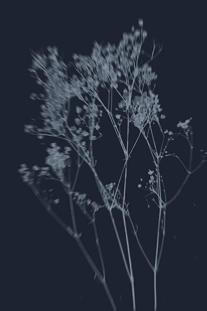 Indigo Botanical Grace art print by The Miuus Studio for $57.95 CAD