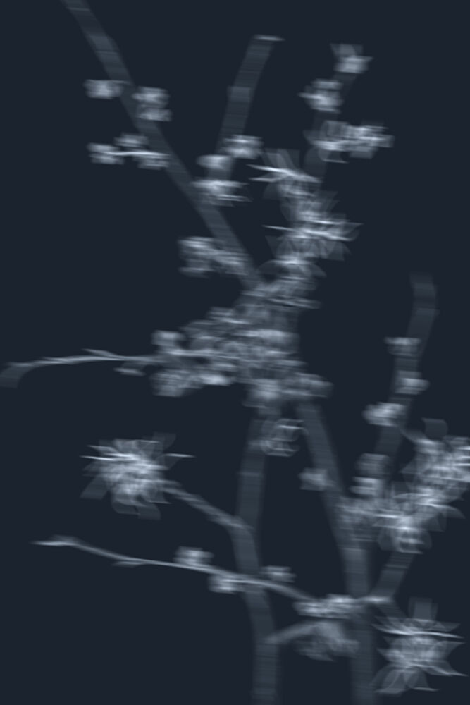 Ethereal Blooming Branches art print by The Miuus Studio for $57.95 CAD