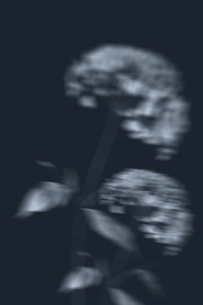 Mysterious Blurred Flowers art print by The Miuus Studio for $57.95 CAD