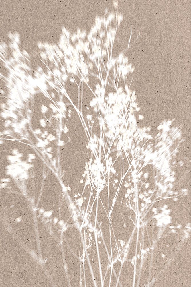 Soft Plant Silhouettes art print by The Miuus Studio for $57.95 CAD