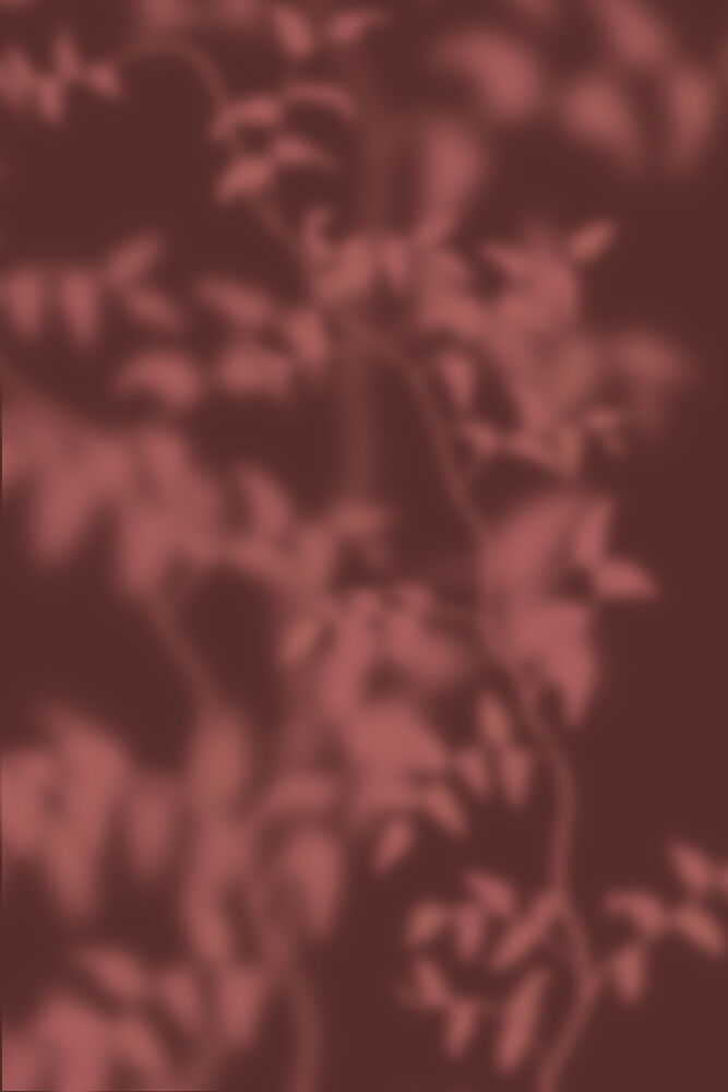 Soft Botanical Shadows art print by The Miuus Studio for $57.95 CAD