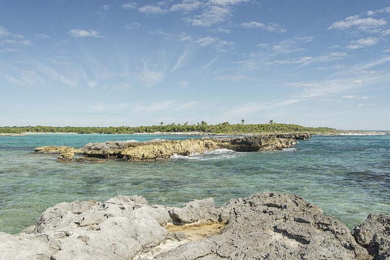 Clear Blue Tropical Coast art print by Lynann Colligan for $57.95 CAD