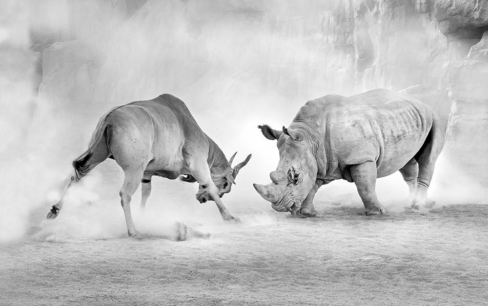 Combat. art print by Juan Luis Duran for $57.95 CAD