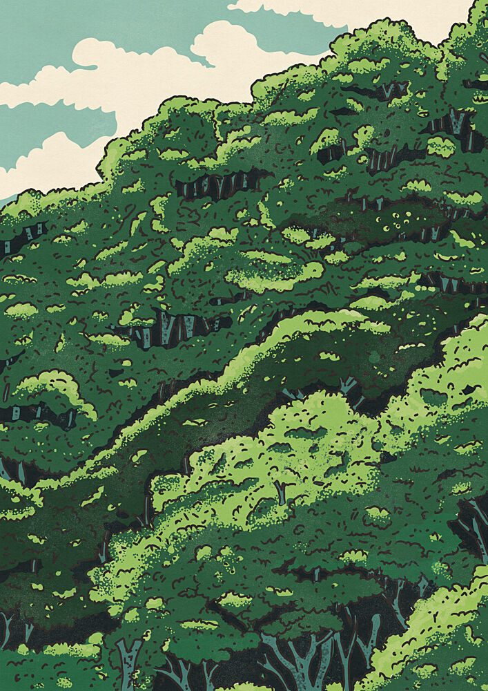 Lush Green Forest Canopy art print by Nicholas for $57.95 CAD