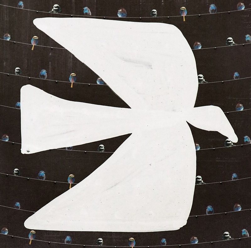 White Peace Dove art print by Santhosh Ch for $57.95 CAD
