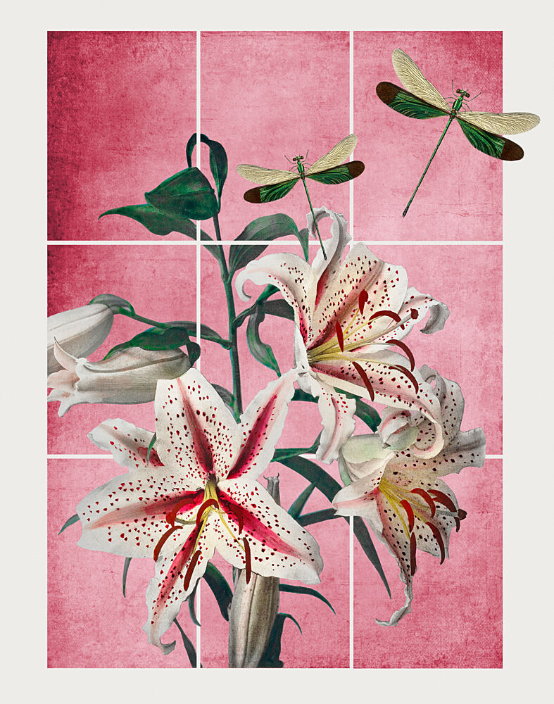 Pink Lilies and Dragonflies art print by Marja van den Hurk for $57.95 CAD
