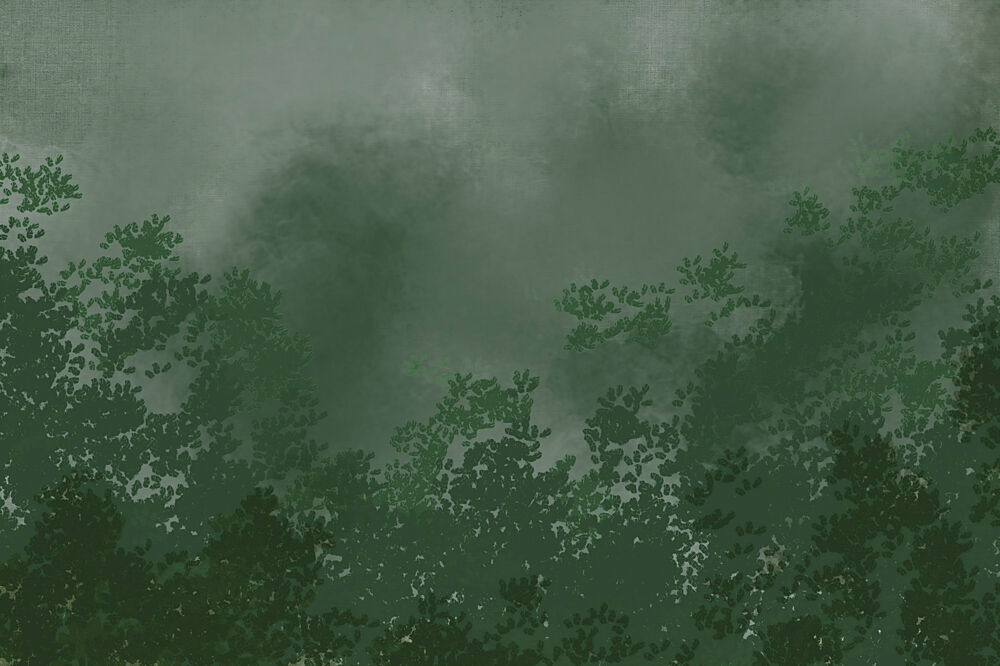 Misty Forest Canopy art print by Josie George for $57.95 CAD