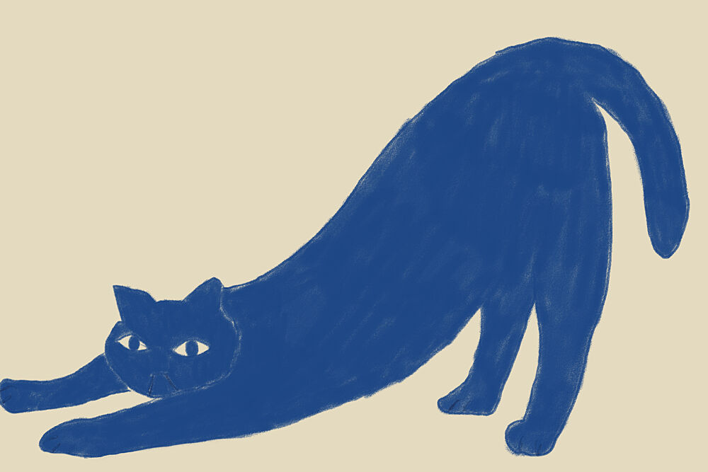 Stretching Blue Cat art print by The Art Concept for $57.95 CAD