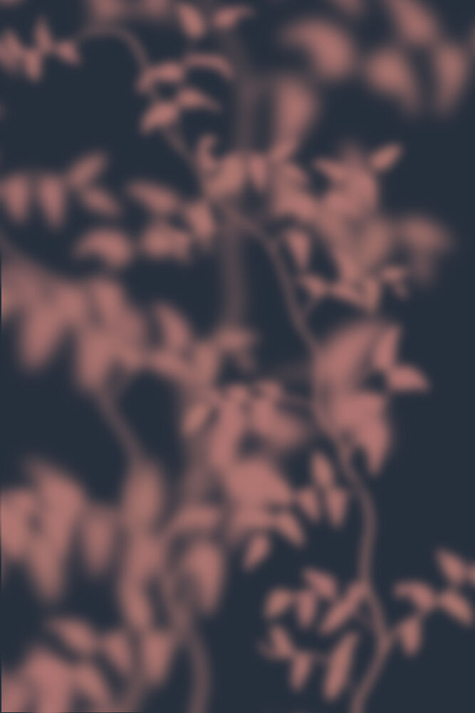 Serene Leaf Shadows art print by The Miuus Studio for $57.95 CAD