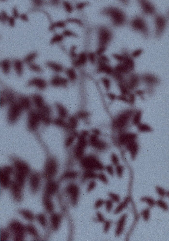 Soft Botanical Shadows art print by The Miuus Studio for $57.95 CAD