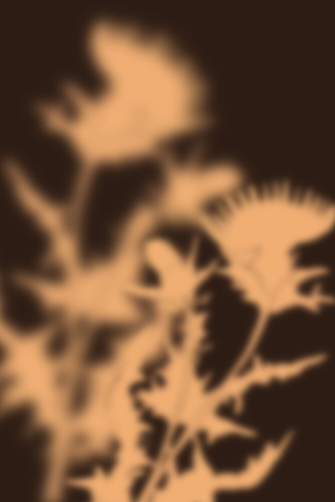 Ethereal Thistle Glow art print by The Miuus Studio for $57.95 CAD