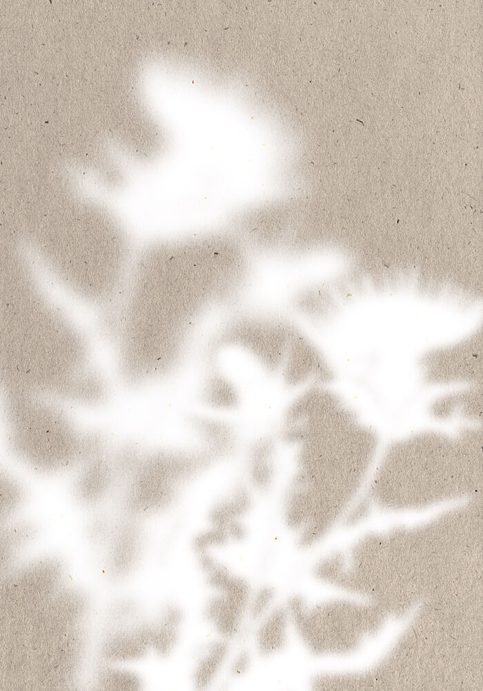 Soft Botanical Shadows art print by The Miuus Studio for $57.95 CAD