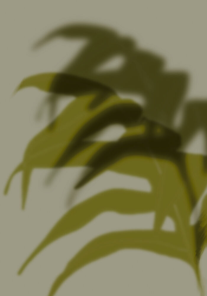 Tropical Shadow Play art print by The Miuus Studio for $57.95 CAD