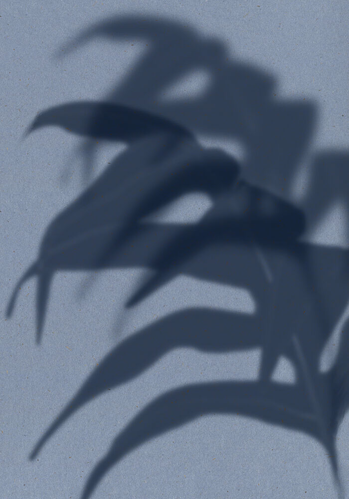 Tropical Leaf Shadows art print by The Miuus Studio for $57.95 CAD
