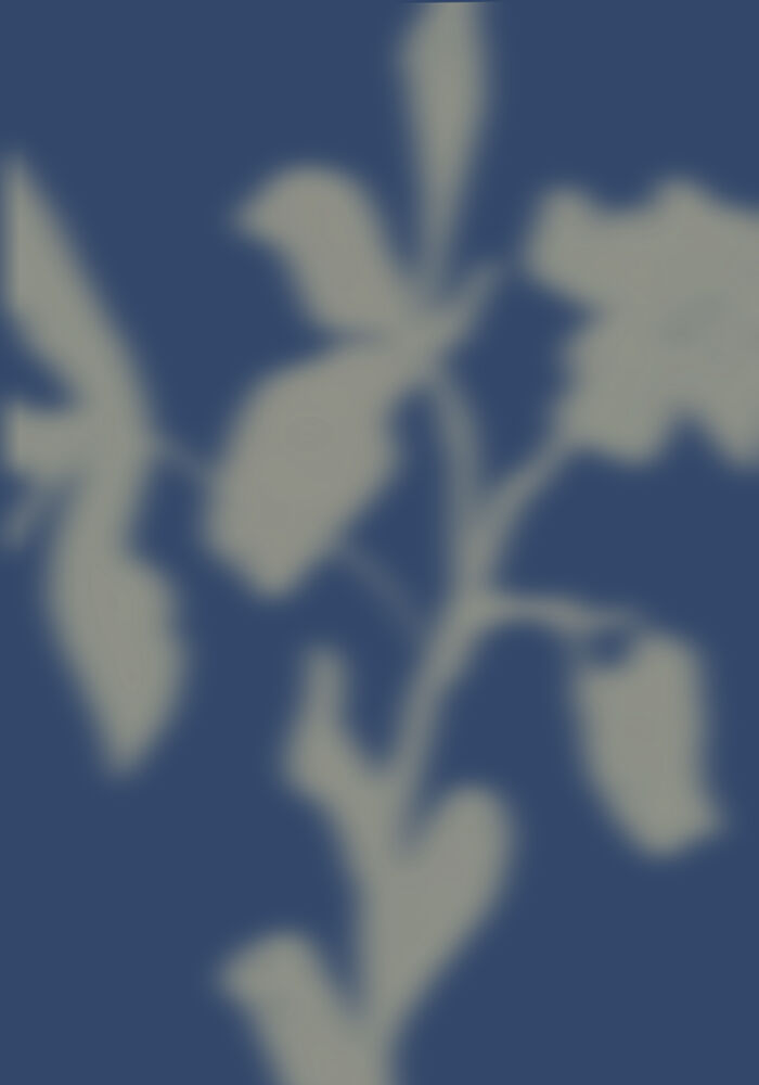 Blue Botanical Dreams art print by The Miuus Studio for $57.95 CAD