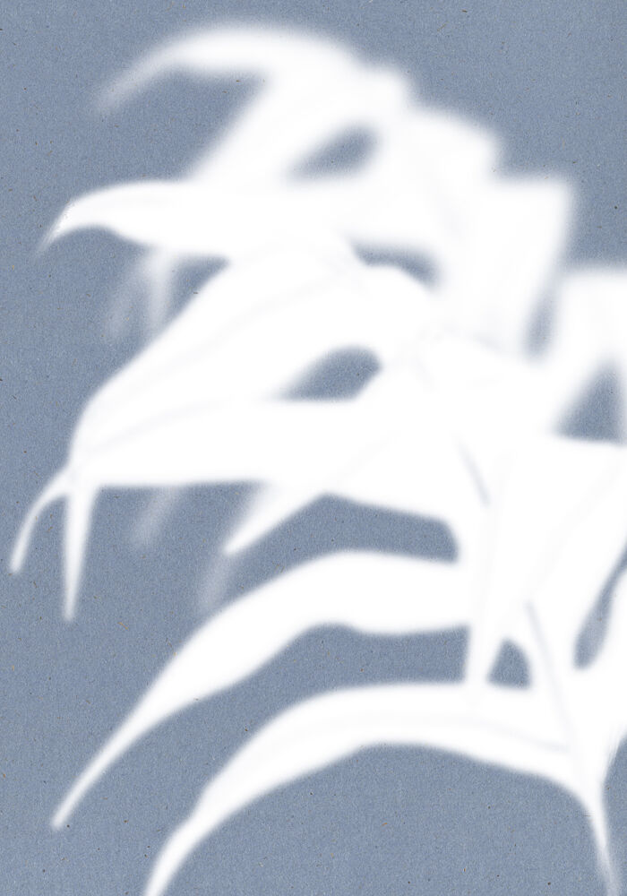 Tropical Shadow Play art print by The Miuus Studio for $57.95 CAD