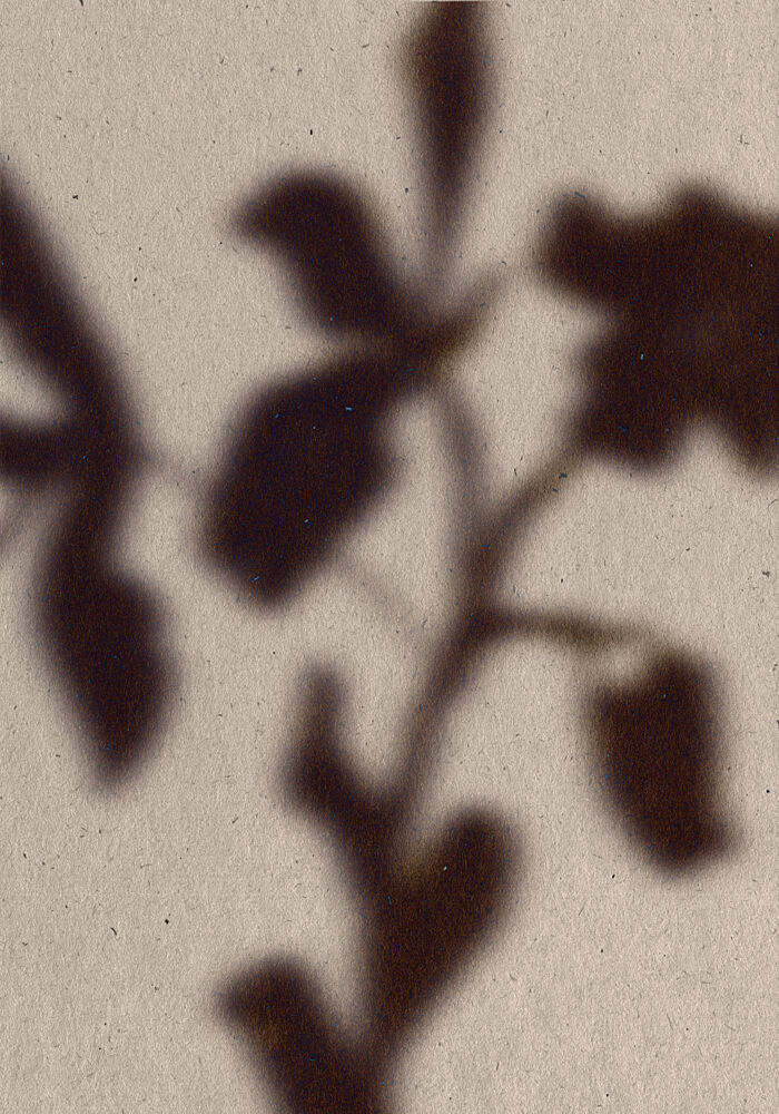Soft Leaf Shadows art print by The Miuus Studio for $57.95 CAD