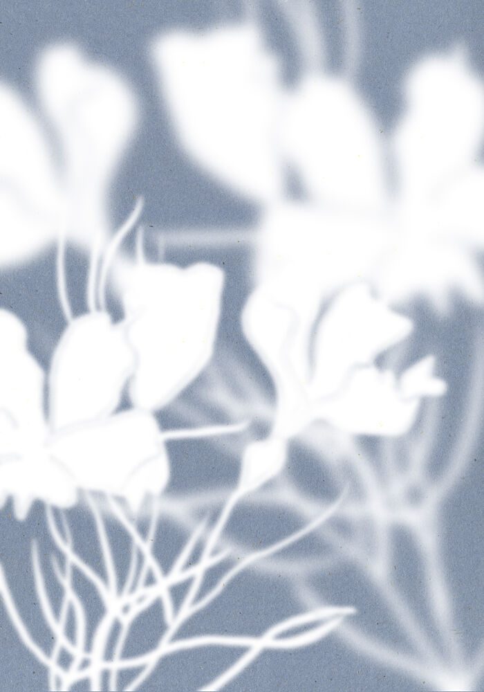 Ethereal Floral Silhouettes art print by The Miuus Studio for $57.95 CAD