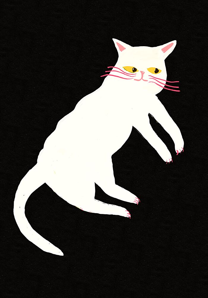 Grumpy White Cat art print by Sharyn Bursic for $57.95 CAD