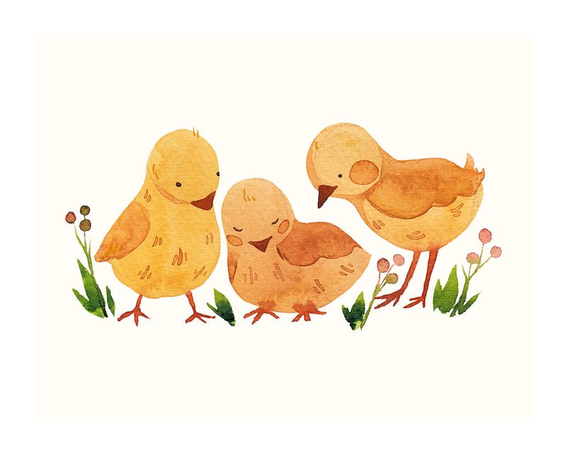 Cute Baby Chicks art print by Saskia Michele for $57.95 CAD