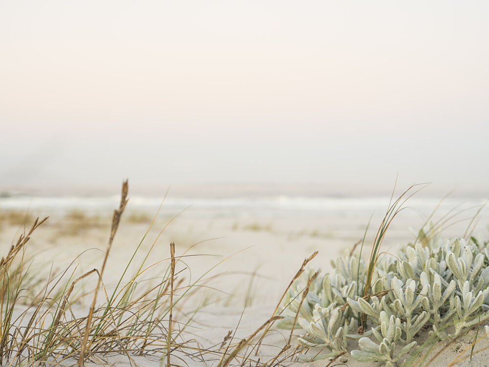 Coastal Whispers in Pastel art print by Ryno Botha for $57.95 CAD