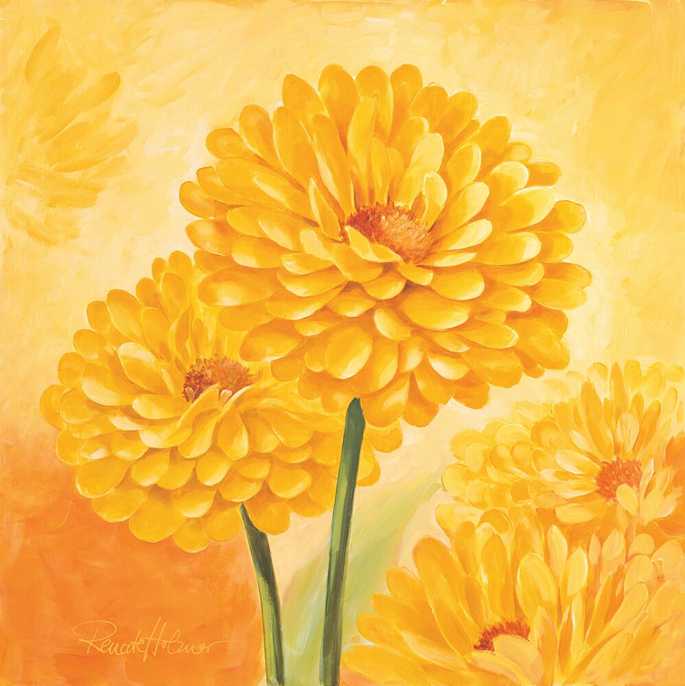 Vibrant Yellow Blooms art print by Renate Holzner for $57.95 CAD