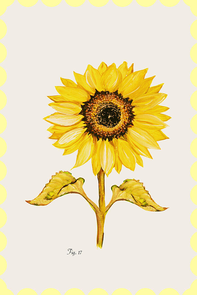 Golden Sunflower Bloom art print by Cartissi for $57.95 CAD