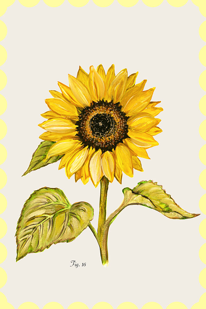 Golden Sunflower Botanical art print by Cartissi for $57.95 CAD