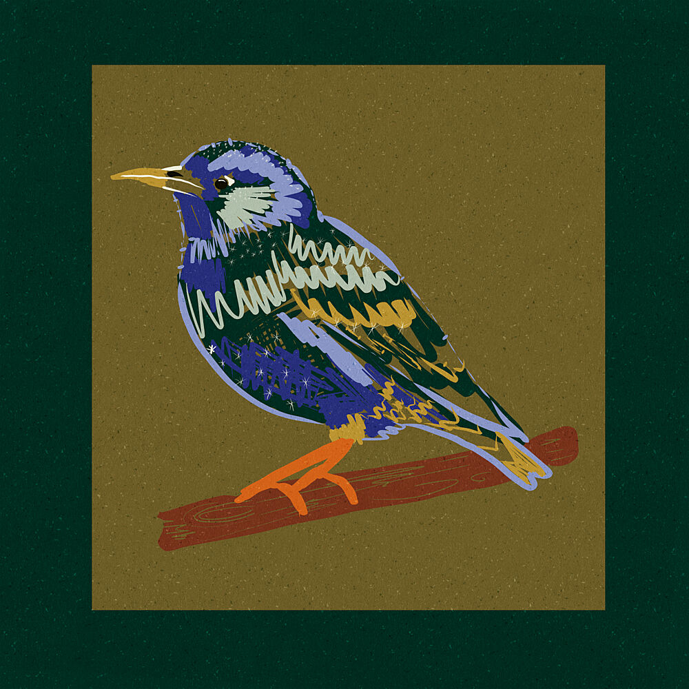 Vibrant Starling Perch art print by Alyssa Hamilton for $57.95 CAD