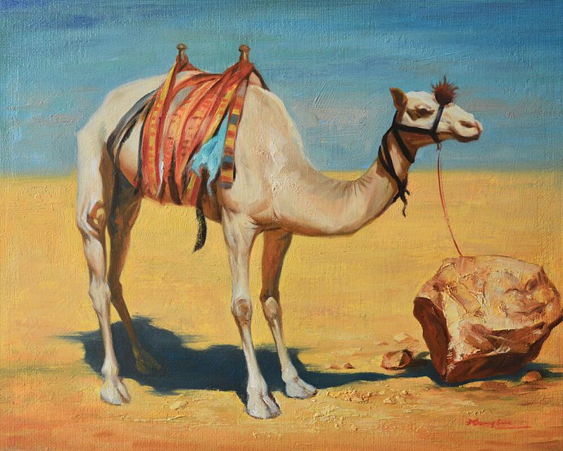 Tethered Desert Camel art print by Hongtao Huang for $57.95 CAD