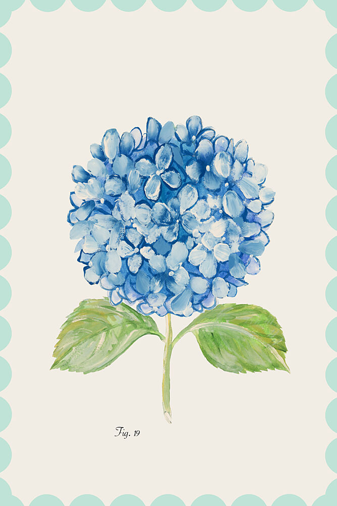 Blue Hydrangea Illustration art print by Cartissi for $57.95 CAD