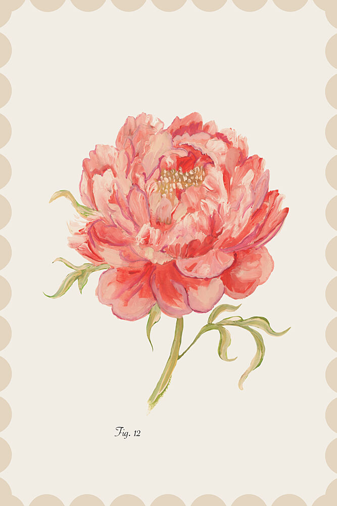 Vintage Pink Peony art print by Cartissi for $57.95 CAD