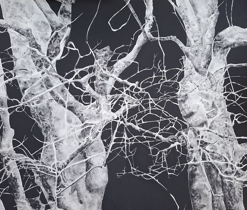 Bare Winter Branches art print by Alex Walsh for $57.95 CAD