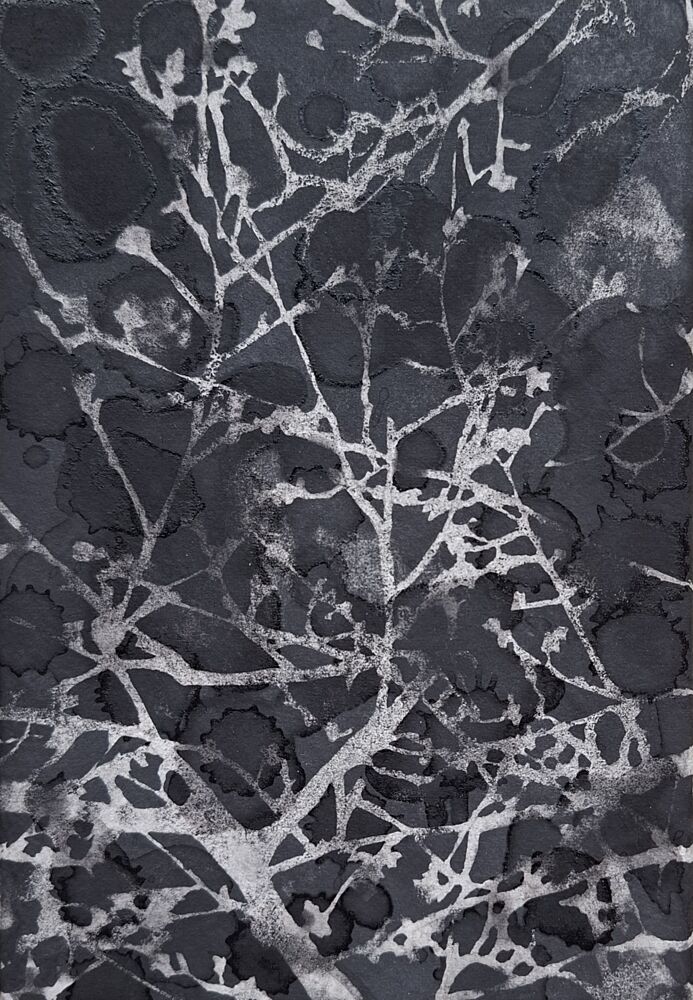 Dark Winter Branches art print by Alex Walsh for $57.95 CAD