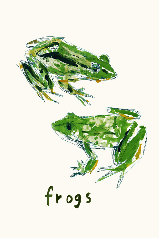 Two Green Frogs Drawing art print by Treechild for $57.95 CAD