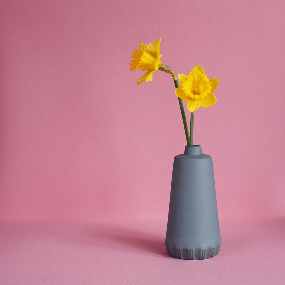 Bright Pink Daffodils art print by Masha Bakker Matijevic for $57.95 CAD