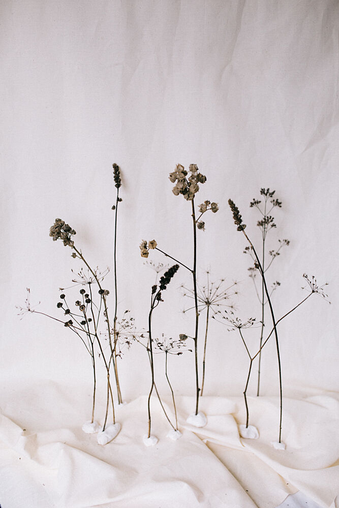 Minimalist Dried Botanicals art print by Masha Bakker Matijevic for $57.95 CAD