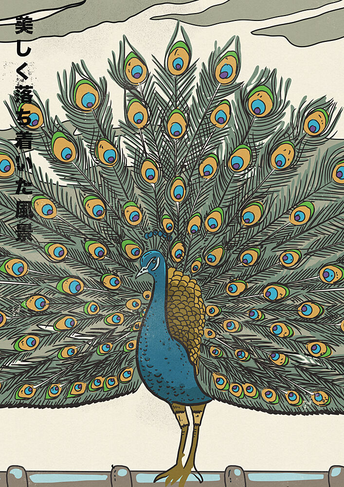 Japanese Fanned Peacock art print by Nicholas for $57.95 CAD