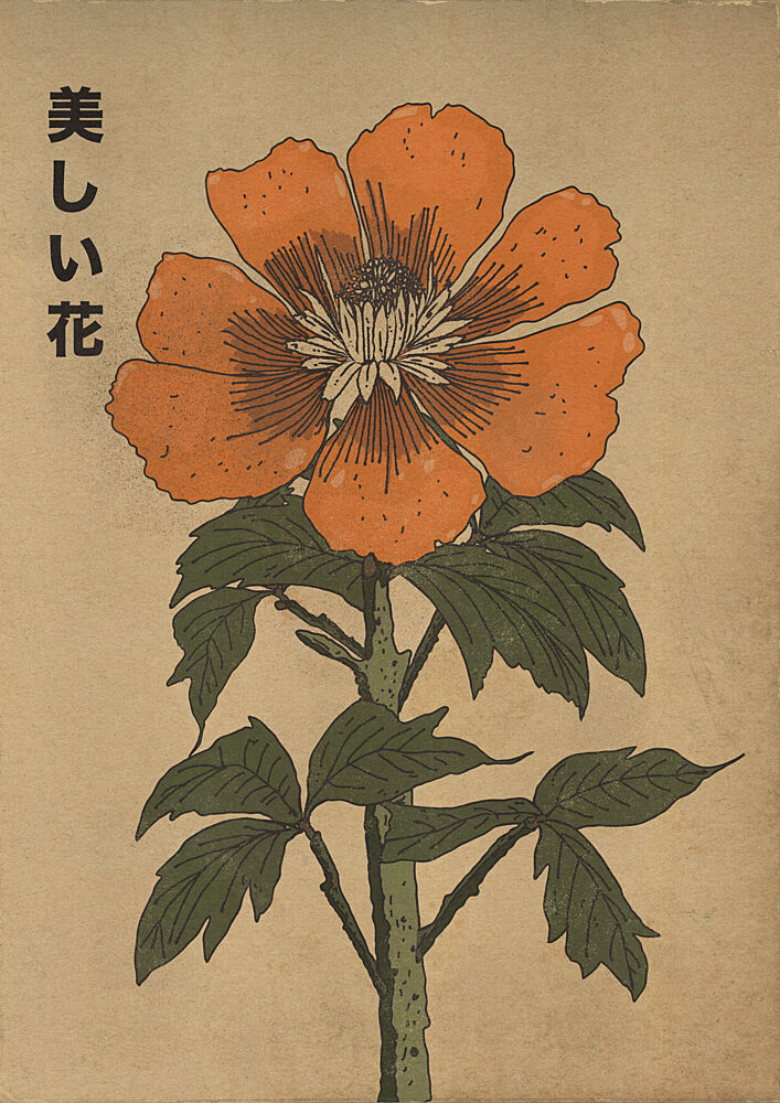 Beautiful Japanese Flower art print by Nicholas for $57.95 CAD