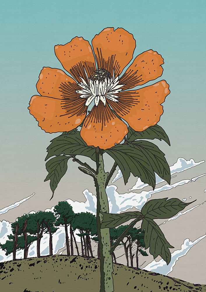Orange Flower on Hill art print by Nicholas for $57.95 CAD